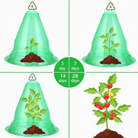 SMUJU cloche saves water by reducing evaporation and maintaining humidity