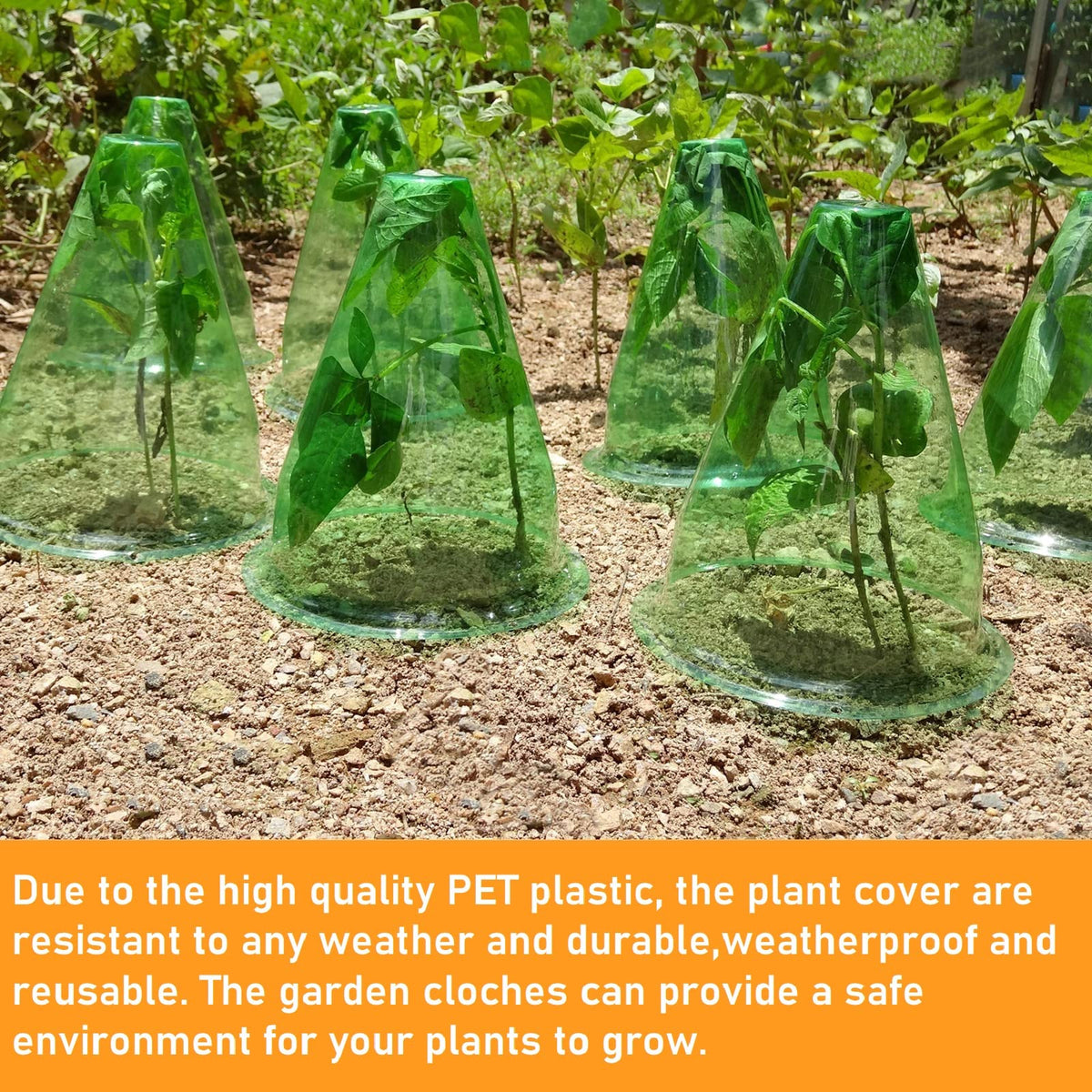 SMUJU cloche bottom holes for secure anchoring on soil
