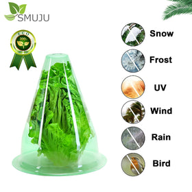 SMUJU cloche with ventilated top creating microclimate
