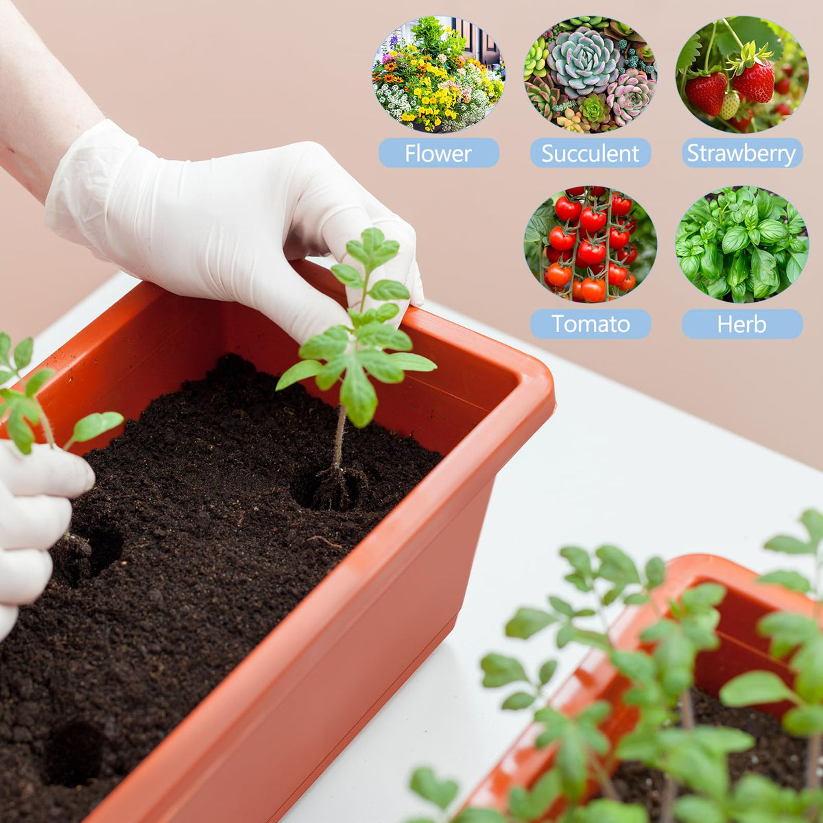 Smusei saucer-equipped planter providing a reservoir for easy watering and spill prevention