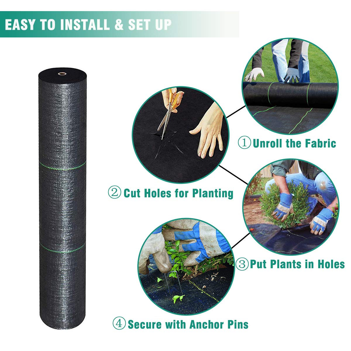 Snail easy install stripes aid plant alignment during setup.