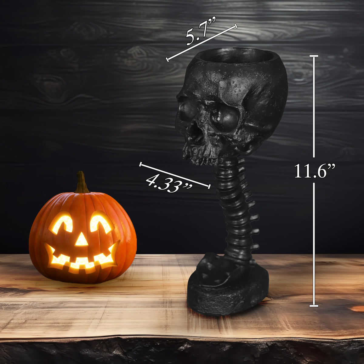 Sneferu skull planter arrives securely packaged as a gift