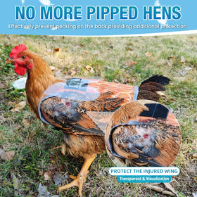 SNMGK feather protector jacket covers injured areas while hens stay with flock.