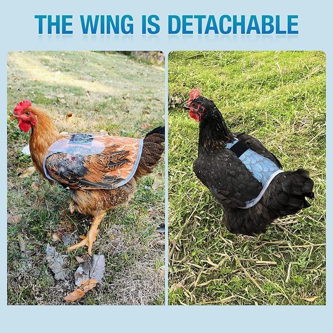 SNMGK hen saddle with adjustable straps for a secure, comfortable fit.