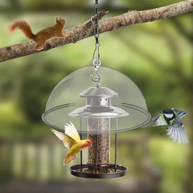 SnowTing hanging feeder protector compatible with hummingbird and seed trays