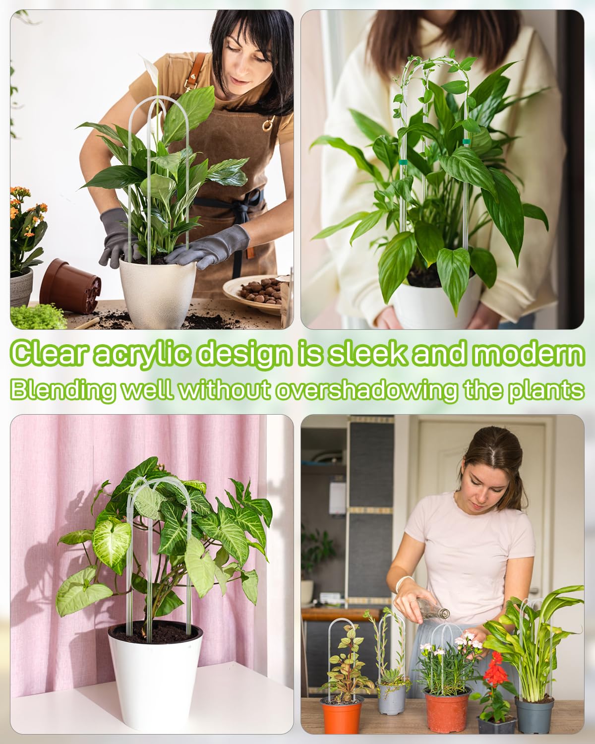 Snqqmtt acrylic plant support keeps vining plants organized on shelves
