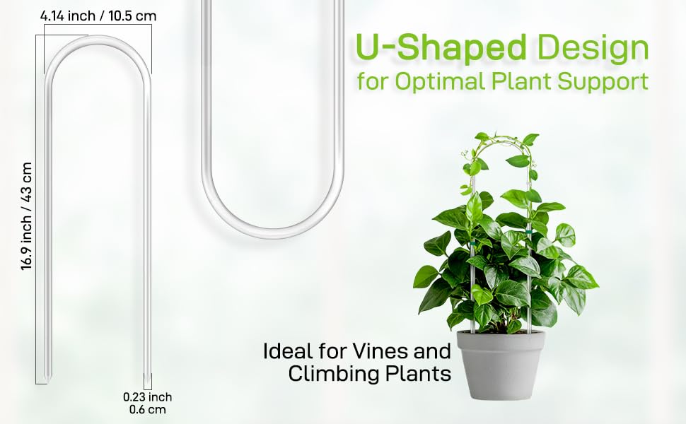 Snqqmtt hoya trellis support helps vines climb neatly on a desk