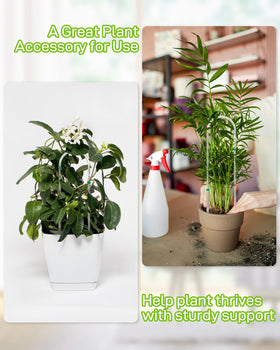 Snqqmtt indoor acrylic trellis withstands indoor conditions without rust
