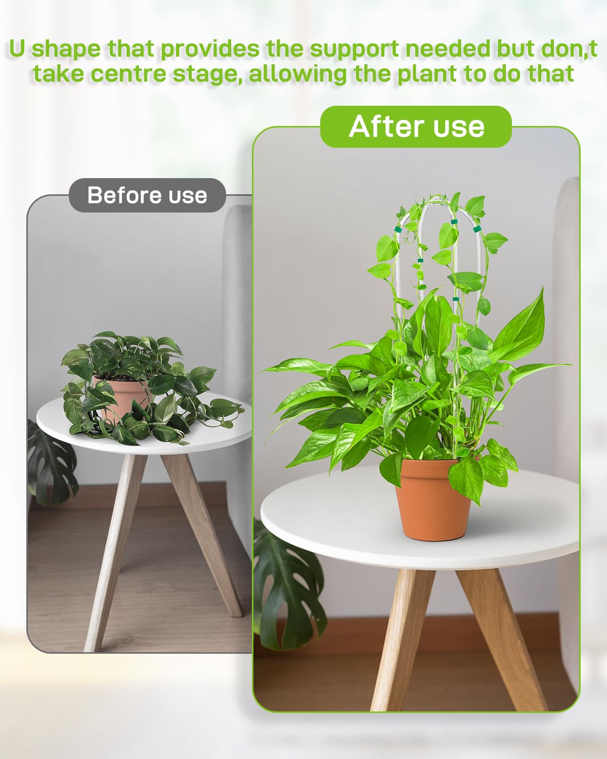 Snqqmtt ivy trellis for indoor plants supports air circulation and shape