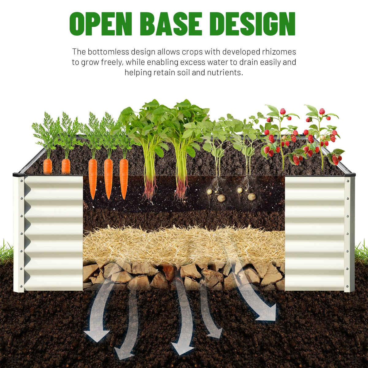 Bottomless drainage design promoting healthy root growth in the bed