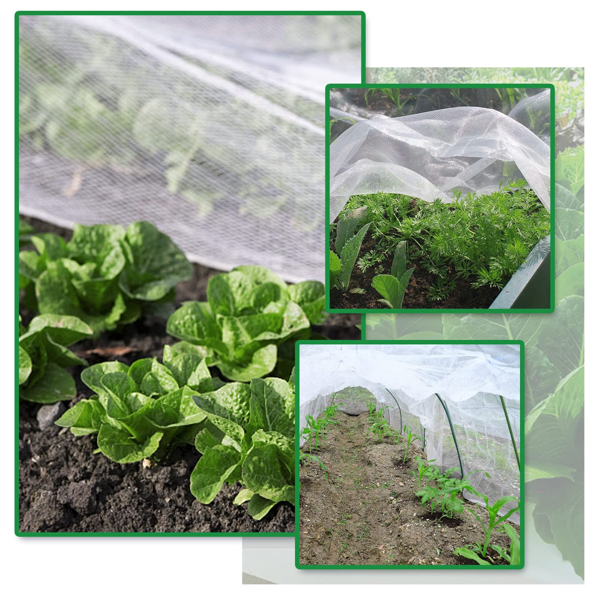 Netting laid over vegetables demonstrates light weight and transparent design.