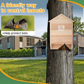 Sobalai dual-chamber bat housing with roost-entry design for easy access