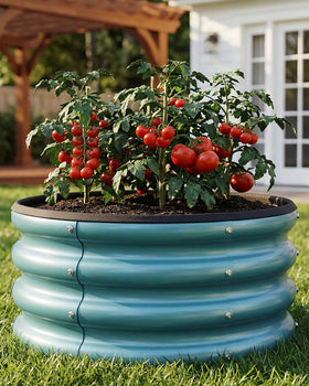 SOCONT two-pack layout supports separate zones for vegetables, herbs, and flowers.