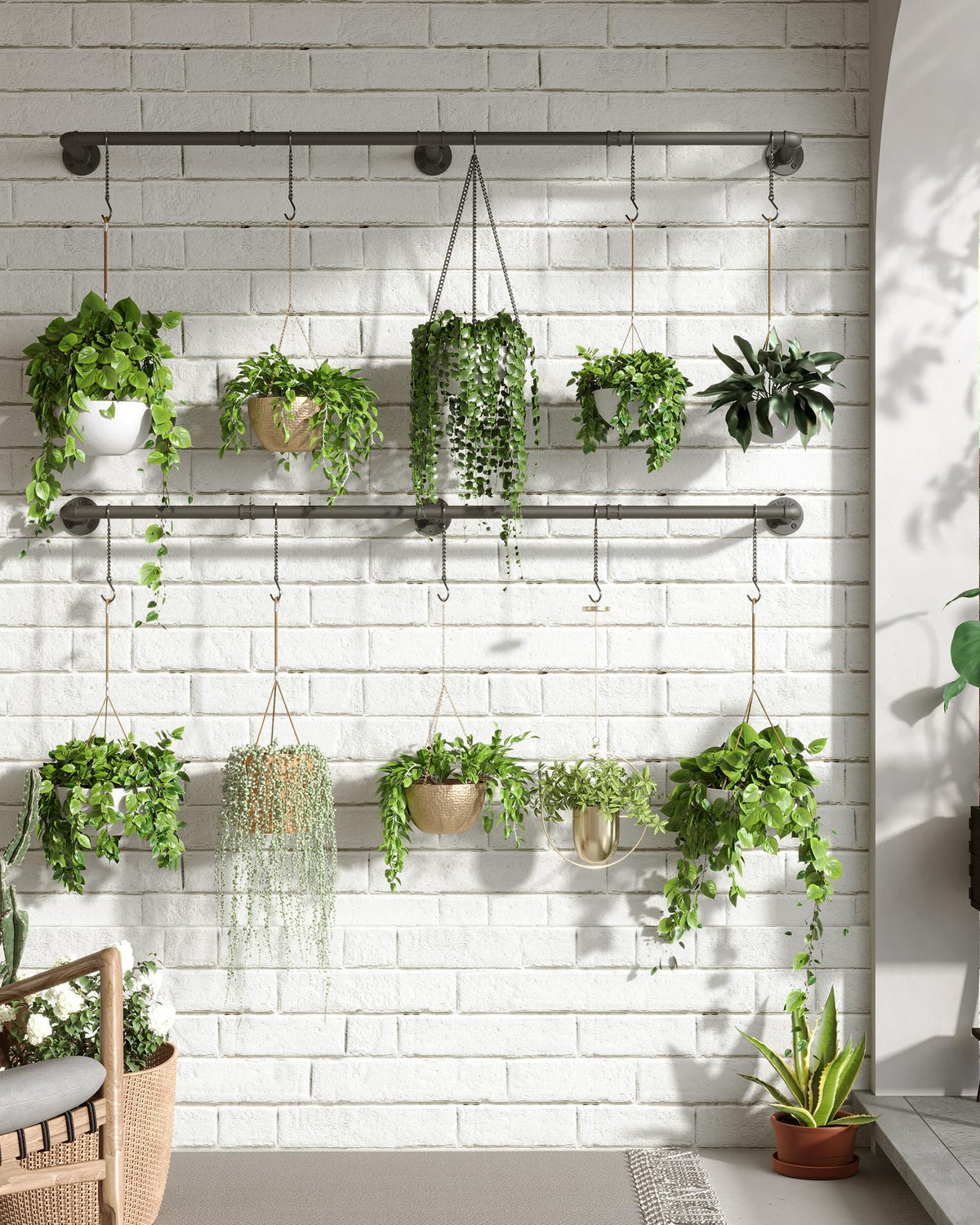SOFITORG 12 chains 24 hooks enables abundant, customizable plant arrangements