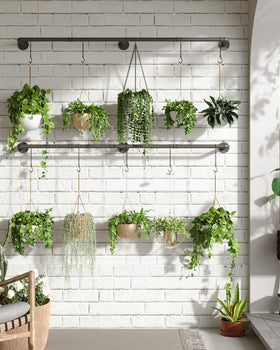 SOFITORG 12 chains 24 hooks enables abundant, customizable plant arrangements