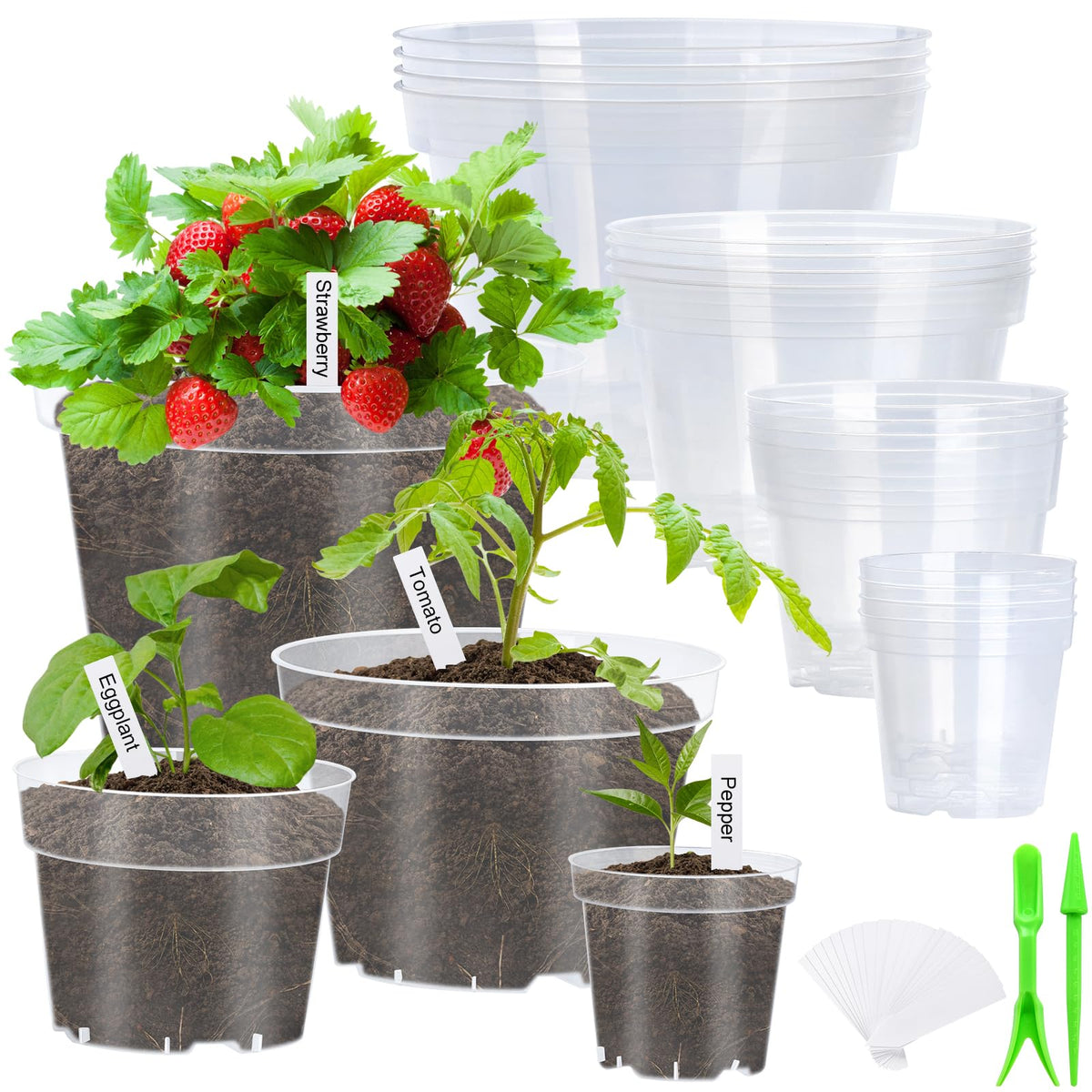 Softum clear 10-inch nursery pot with drainage for root observation