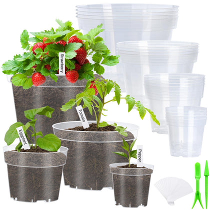 Softum clear 10-inch nursery pot with drainage for root observation