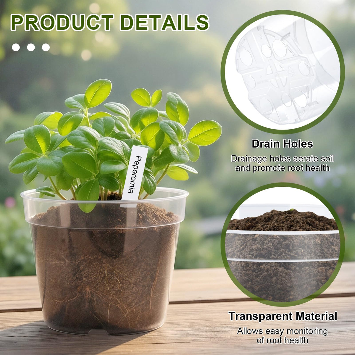 Softum clear pots serve as inner planters for clean, stylish displays
