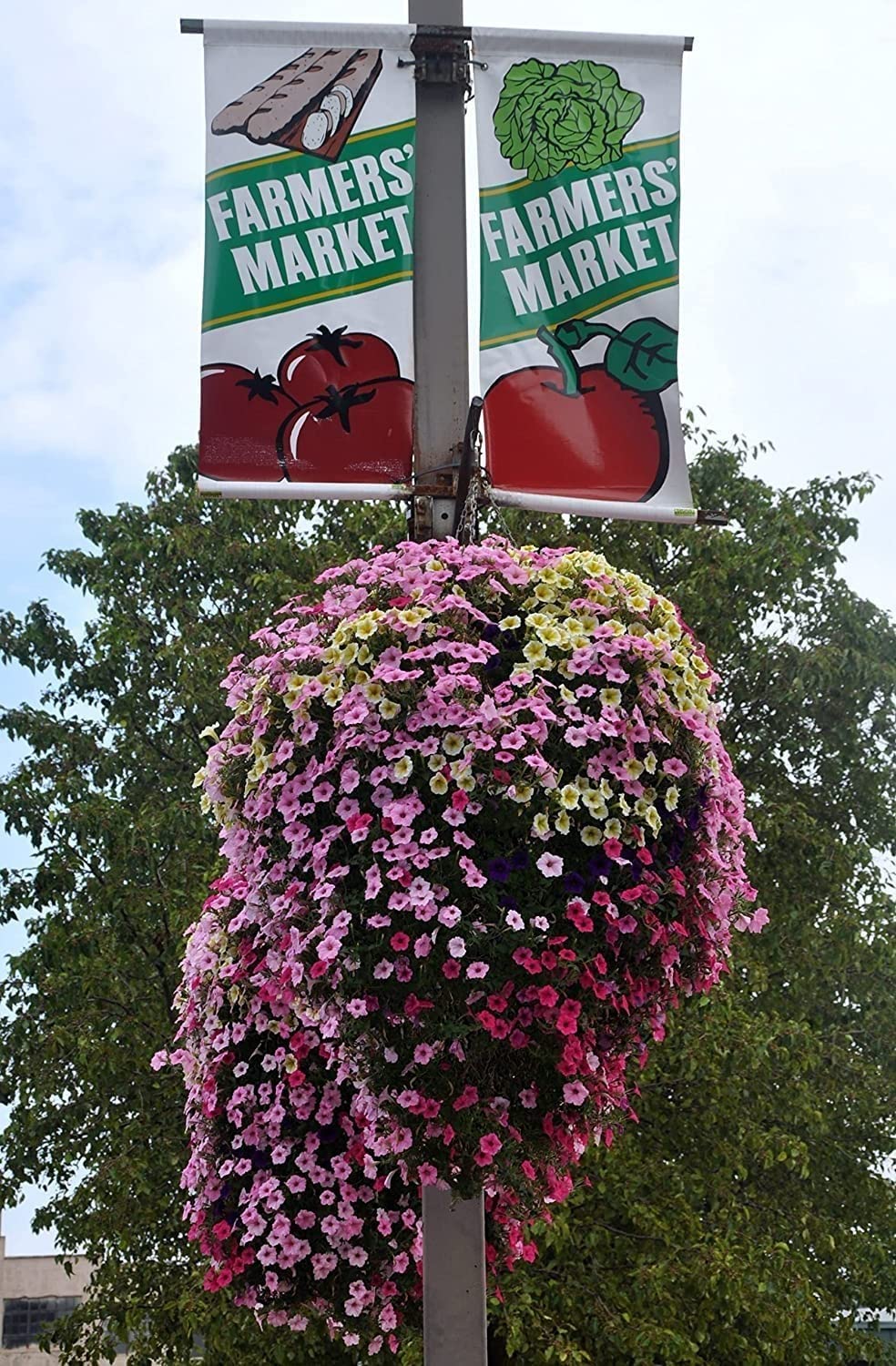 Soil Moist Mats for planters maintain moisture, supporting healthy containers.