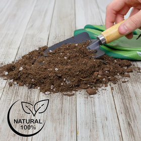 Soil Sunrise Anthurium hands mixing soil for easy preparation.