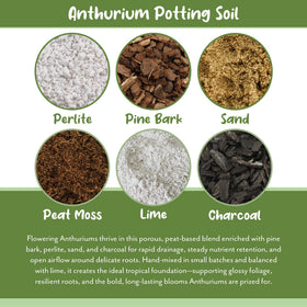 Soil Sunrise Anthurium mix highlights nutrient retention for healthy growth.