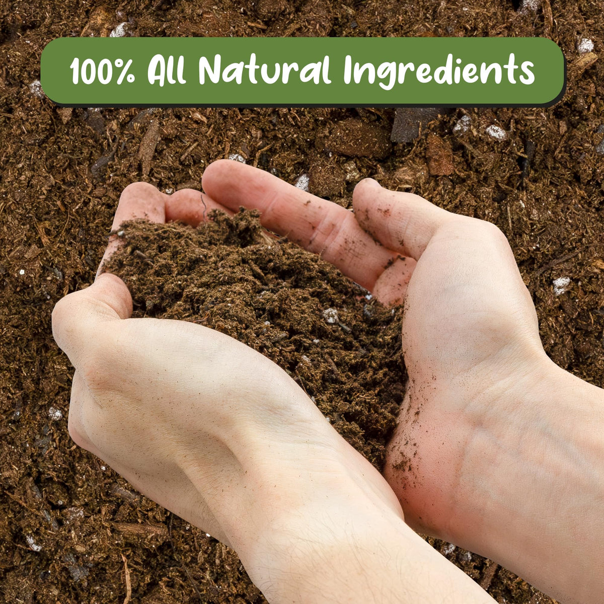 Soil Sunrise Anthurium potting soil open-bag reveal natural materials.