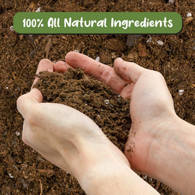 Soil Sunrise Anthurium potting soil open-bag reveal natural materials.
