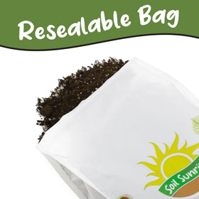 Soil Sunrise container gardening use shown with potted greenery