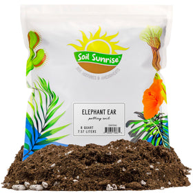Soil Sunrise Elephant Ear potting soil mix 8 quarts — ideal for container-grown Colocasia