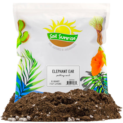 Soil Sunrise Elephant Ear potting soil mix 8 quarts — ideal for container-grown Colocasia