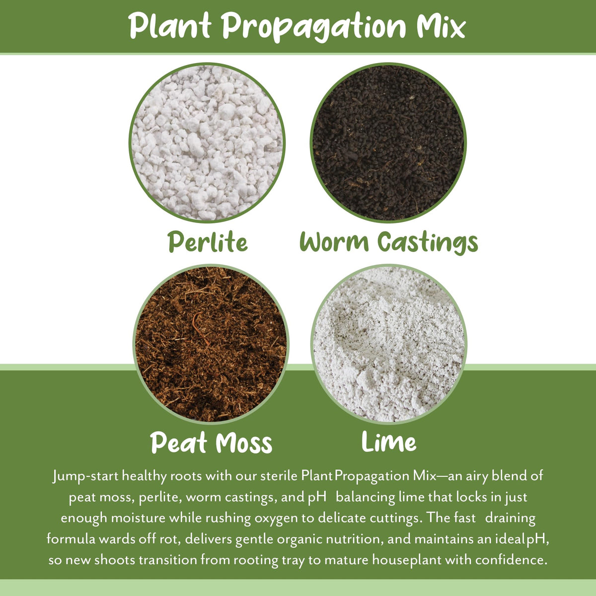Soil Sunrise lime for pH balance supports stable growing conditions.