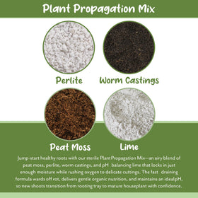 Soil Sunrise lime for pH balance supports stable growing conditions.