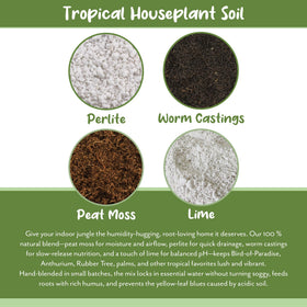 Soil Sunrise lime balance balances soil pH for steady growth