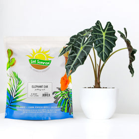 Soil Sunrise natural blend closeup — balanced texture supports drainage and moisture retention