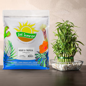 Soil Sunrise natural ingredients peat moss close up highlighting moisture balance for plants