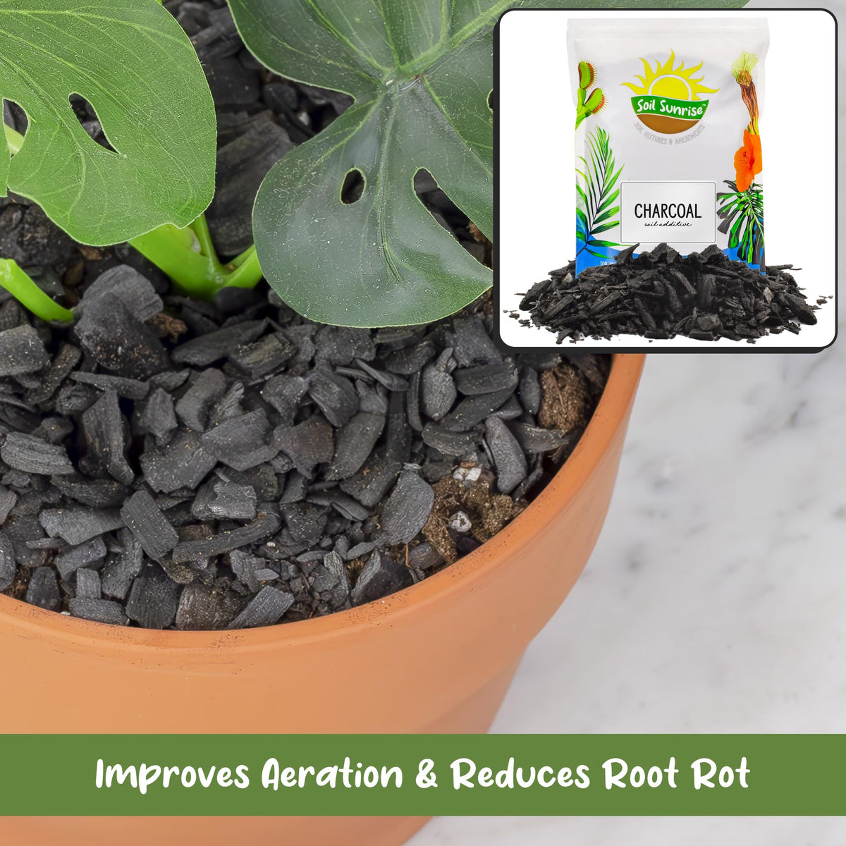 Orchid pot with charcoal layer from Soil Sunrise for moisture balance.