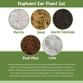 Soil Sunrise peat moss and lime blend closeup — gentle moisture and pH balance for sensitive varieties
