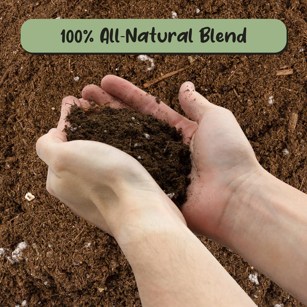 Soil Sunrise peat moss and perlite ingredients prepared for healthy plant propagation.