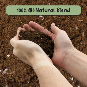 Soil Sunrise peat moss and perlite ingredients prepared for healthy plant propagation.