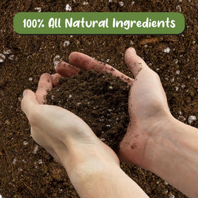 Soil Sunrise perlite texture demonstrates drainage friendly mix for containers