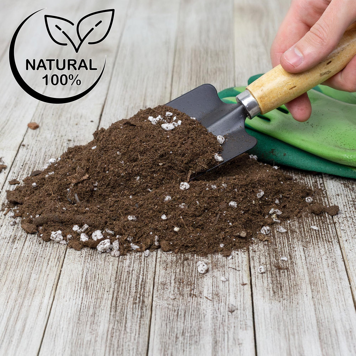 Soil Sunrise ready-to-use soil mix — makes elephant ear gardening simpler, indoors or out