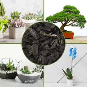 Charcoal chips surrounding plant roots show soil conditioning in action.