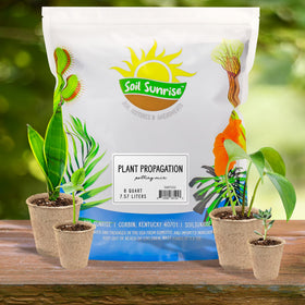 Soil Sunrise rooting-starter mix close-up showing balanced nutrients for cuttings.