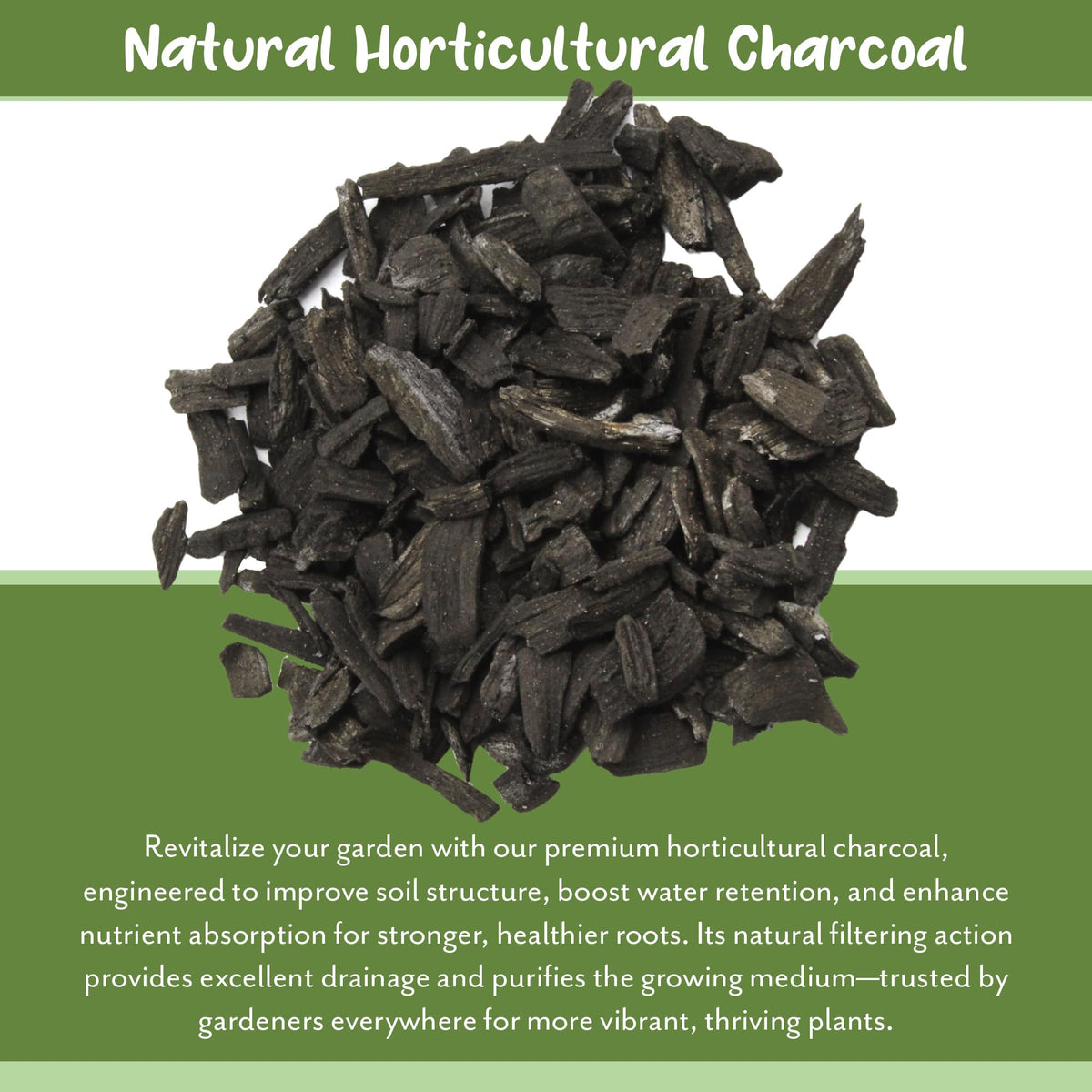 Terrarium setup using Soil Sunrise charcoal to support natural filtration.