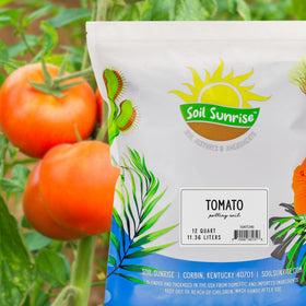 Soil Sunrise tomato starter 12-quarts back label shows outdoor hole backfill use.