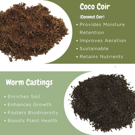 Soil Sunrise hand-blended-mix illustrates careful soil preparation for consistent texture.