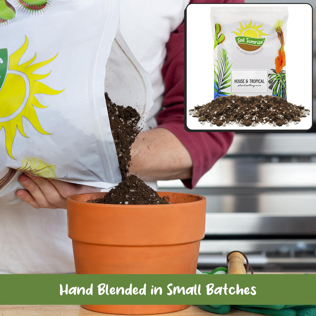 Soil Sunrise worm castings visible offering nutrient retention for tropical houseplants