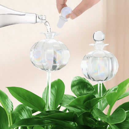 Soilagua 10oz top-fill cactus water globe for easy hydration