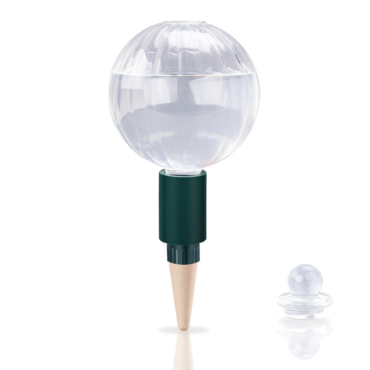 Soilagua 23 oz extra-large watering globe in clear glass showing steady moisture for plants