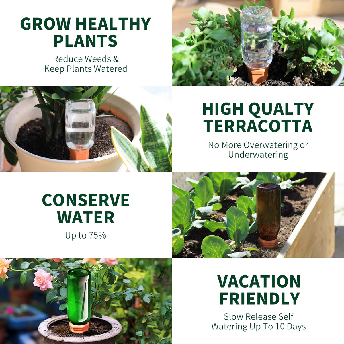 Soilagua 4-pack self-watering spikes ready for multiple plants.